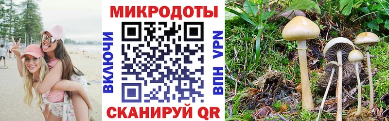 Псилоцибиновые грибы GOLDEN TEACHER  Тамбов 