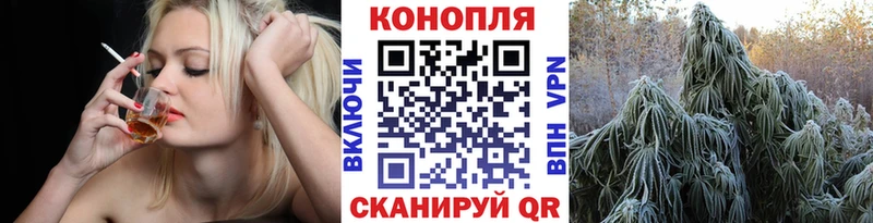 купить наркотики сайты  Тамбов  MEGA ссылка  Марихуана план 